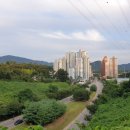 덕산로, 풍초로 이미지