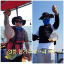 풍년참가자미