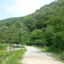 산사이