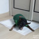 제일숯불왕갈비
