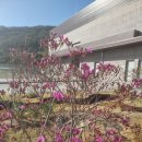 리섬 | 20230419_0420(6살/10살) 자연과 함께하는 힐링여행 / 제천 포레스트 리솜