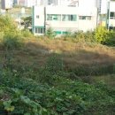 아리수로 93가길 이미지