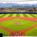 양섬야구장 이미지