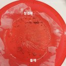 주식회사 청농 이미지