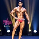 드라코짐 이미지