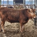 국립축산과학원 한우연구소 이미지