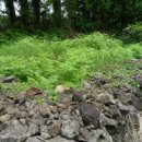 상예동-3 이미지