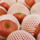 용구농장 이미지