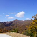 구성사슴농장 이미지