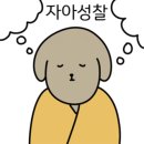 돈암해물칼국수 이미지