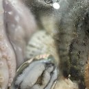 동해바다 해물탕해물찜 이미지