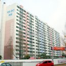 국화한신 이미지