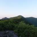 백운농장(2) 이미지