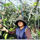 문정순농장 이미지