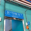 미포숲 | 해운대 캡슐열차 미포 탑승후기 ㅣ 예약 가격 에어컨 여부까지 꿀팁정리