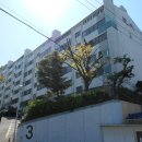 사하구-35 이미지