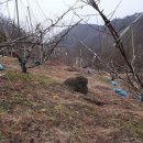 선희농장 이미지