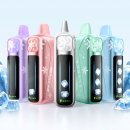 조정용 | [ELFBAR] 엘프바 아이스킹 프로 둠둠한 리뷰!.!