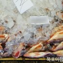 목포수산업협동조합 이미지