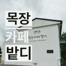 부제목장 | 제주 표선 가볼 만한 곳, 아이도 어른도 즐거운 목장카페 밭디