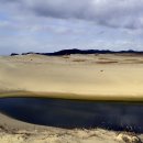 사구해수욕장1 이미지