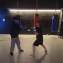 히트앤핏 이미지