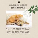 포포즈 반려동물장례식장 화성점 이미지