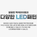 파인데이