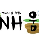 용진1농장 네이버블로그
