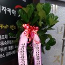 보이스 싱어 코인 노래연습장 이미지