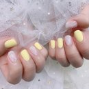 디자인반디 이미지