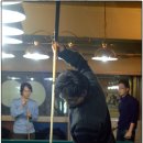 당구쟁이들 이미지