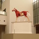 드림어스 - 용인시 기흥구 동백중앙로 245 | 서울전시회 국립현대미술관_데이미언 허스트(~6/28)