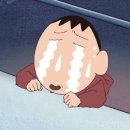 시흥탑애견미용학원