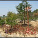 주식회사 황토인 이미지