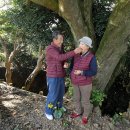 화양연화농장 이미지