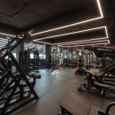 바디어필 이미지