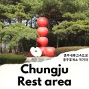 사과나무 충전소와 주유소 | 중부내륙 고속도로 휴게소 충주휴게소 사과빵 &amp; 사과돈가스