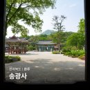운흥사 목조아미타불좌상 및 복장유물 | 전주 근교 가볼만한곳 완주 송광사 여행 연꽃 시기