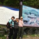 선경 양봉 | 가야산-개심사2