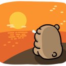 늘푸른음악학원 이미지