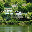 안골염소농장 이미지