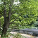 반딧불이민박 이미지