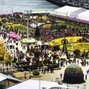 국화축제장 입구 이미지