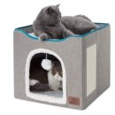 이층집고양이 이미지