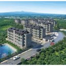 강정동-18 이미지