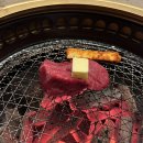 김플랜 | 중간 이후 종강까지 동동_’개 강’한 김동은2(2)