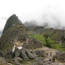 산에사네 이미지