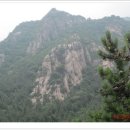 영암터미널 진입로 이미지