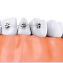 새서울치과의원 이미지